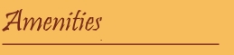 Amenities.jpg (5498 bytes)