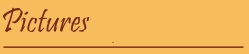 pictures.jpg (3856 bytes)